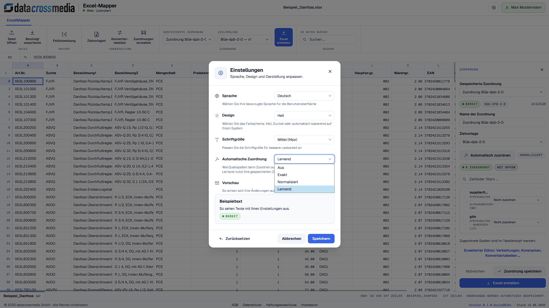 Einstellungen für exakte, normalisierte und lernende automatische Zuordnung